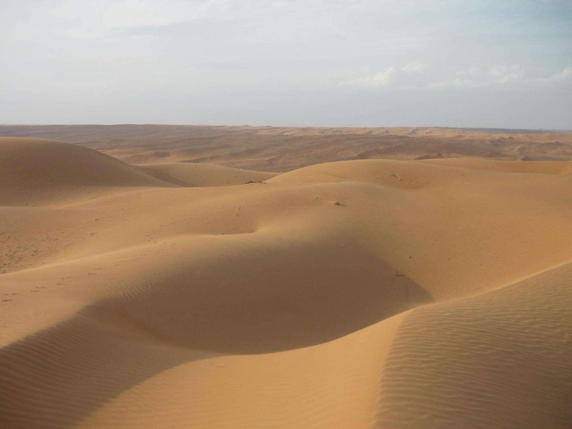 Desert Retreat Camp Al Wāşil Zewnętrze zdjęcie
